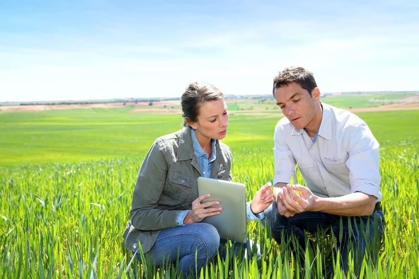 Agriculture market research experts on the field
